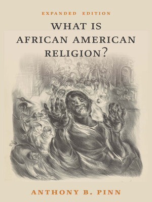 cover image of What Is African American Religion?